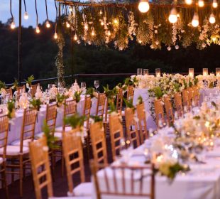 خدمات مجالس